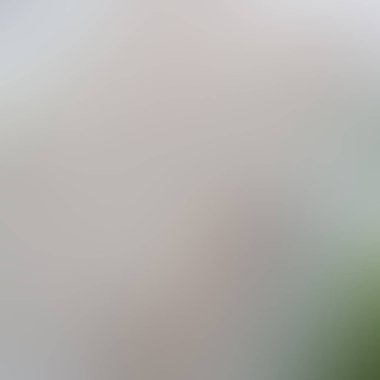 Renklerin soyut bulanık arkaplanı