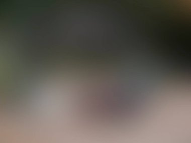 Renklerin soyut bulanık arkaplanı