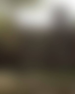 Renklerin soyut bulanık arkaplanı