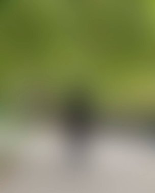 Renklerin soyut bulanık arkaplanı