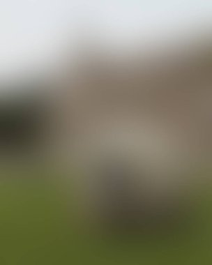 Renklerin soyut bulanık arkaplanı