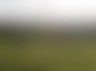 Renklerin soyut bulanık arkaplanı