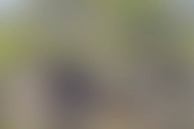 Renklerin soyut bulanık arkaplanı