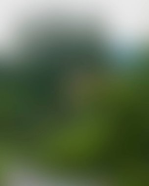 Renklerin soyut bulanık arkaplanı