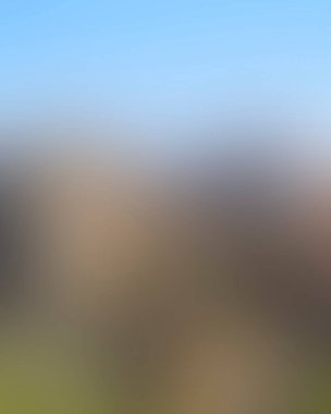 Renklerin soyut bulanık arkaplanı