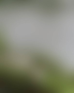 Renklerin soyut bulanık arkaplanı