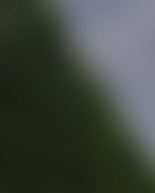 Renklerin soyut bulanık arkaplanı