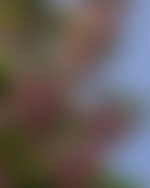 Renklerin soyut bulanık arkaplanı