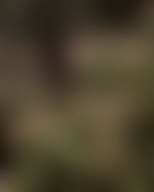 Renklerin soyut bulanık arkaplanı