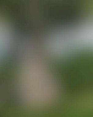 Renklerin soyut bulanık arkaplanı