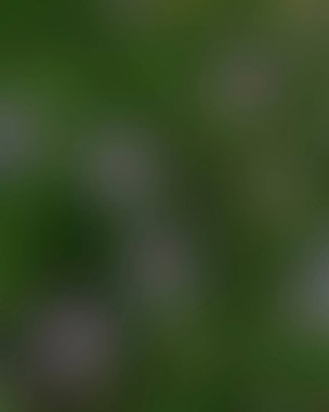 Renklerin soyut bulanık arkaplanı