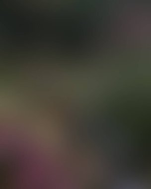 Renklerin soyut bulanık arkaplanı