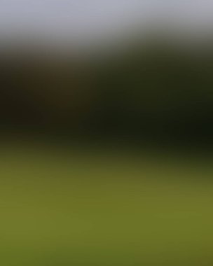 Renklerin soyut bulanık arkaplanı