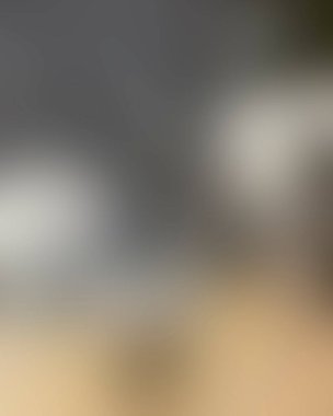 Renklerin soyut bulanık arkaplanı