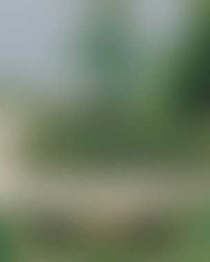 Renklerin soyut bulanık arkaplanı