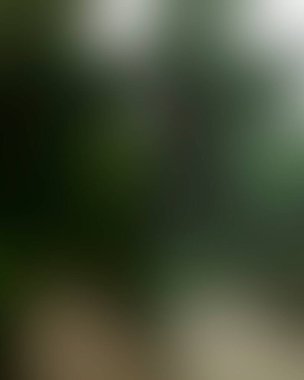 Renklerin soyut bulanık arkaplanı