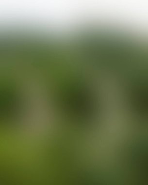 Renklerin soyut bulanık arkaplanı