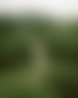 Renklerin soyut bulanık arkaplanı