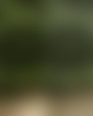 Renklerin soyut bulanık arkaplanı