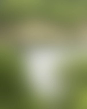 Renklerin soyut bulanık arkaplanı