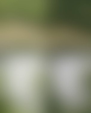 Renklerin soyut bulanık arkaplanı