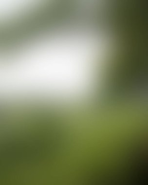 Renklerin soyut bulanık arkaplanı