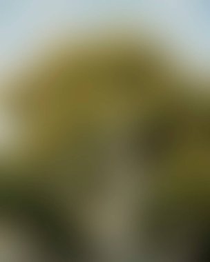 Renklerin soyut bulanık arkaplanı