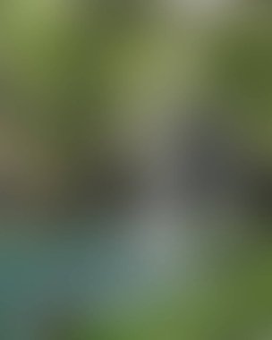 Renklerin soyut bulanık arkaplanı