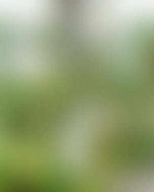 Renklerin soyut bulanık arkaplanı