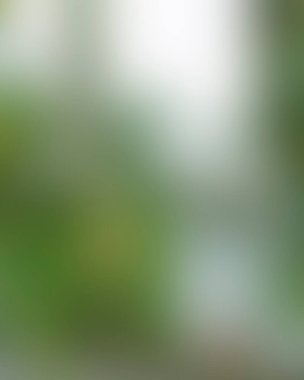 Renklerin soyut bulanık arkaplanı