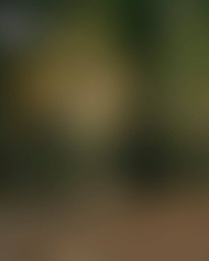 Renklerin soyut bulanık arkaplanı