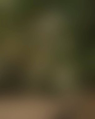 Renklerin soyut bulanık arkaplanı