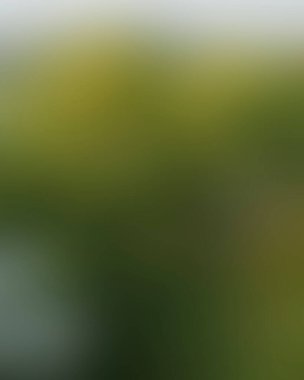 Renklerin soyut bulanık arkaplanı