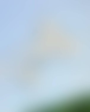 Renklerin soyut bulanık arkaplanı