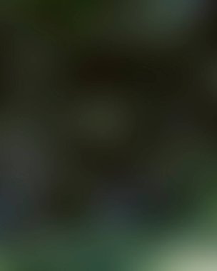 Renklerin soyut bulanık arkaplanı