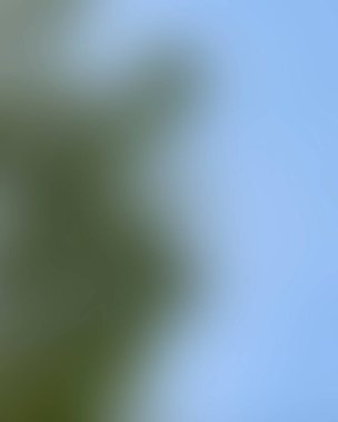 Renklerin soyut bulanık arkaplanı