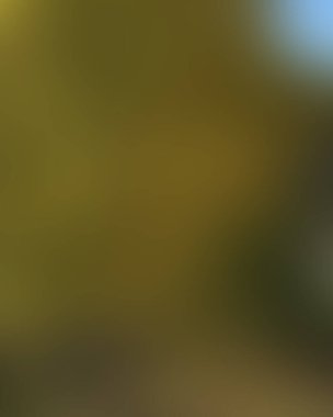 Renklerin soyut bulanık arkaplanı