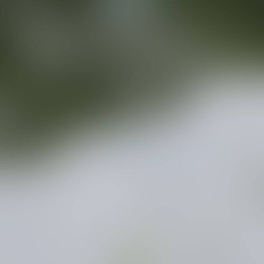 Renklerin soyut bulanık arkaplanı