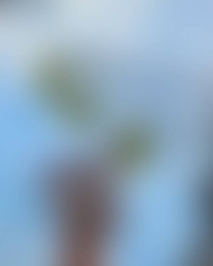 Renklerin soyut bulanık arkaplanı