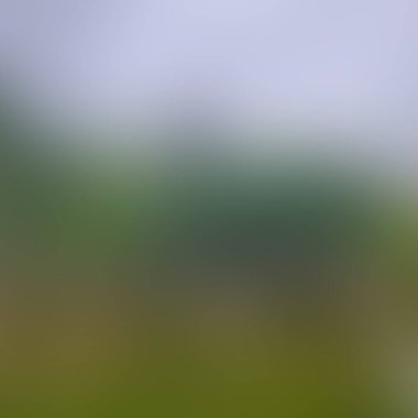 Renklerin soyut bulanık arkaplanı