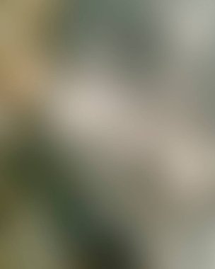 Renklerin soyut bulanık arkaplanı