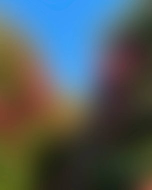 Renklerin soyut bulanık arkaplanı