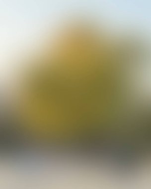 Renklerin soyut bulanık arkaplanı