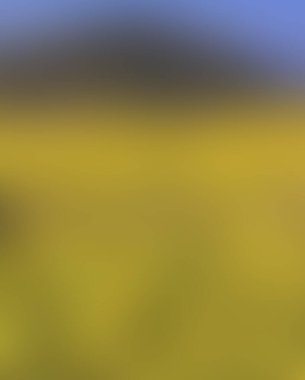 Renklerin soyut bulanık arkaplanı