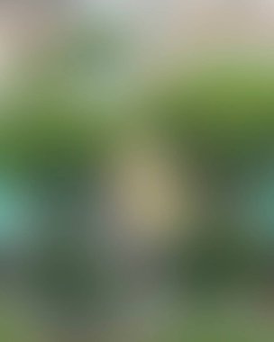 Renklerin soyut bulanık arkaplanı