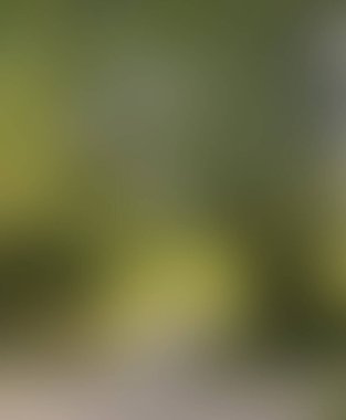 Renklerin soyut bulanık arkaplanı