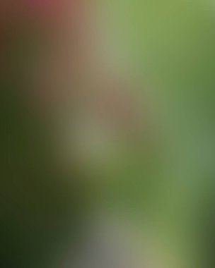 Renklerin soyut bulanık arkaplanı