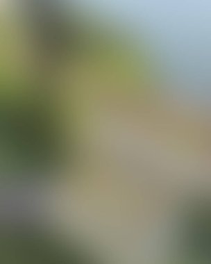 Renklerin soyut bulanık arkaplanı