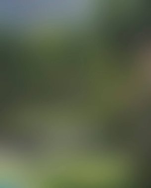 Renklerin soyut bulanık arkaplanı