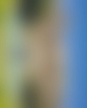 Renklerin soyut bulanık arkaplanı